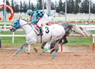 Kocaeli ve İzmir at yarışları iptal mi? Yurt dışı at yarışı olacak mı?