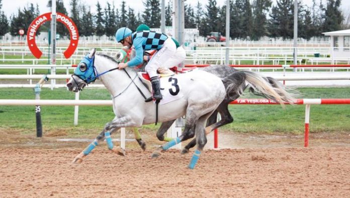 Kocaeli ve İzmir at yarışları iptal mi? Yurt dışı at yarışı olacak mı?