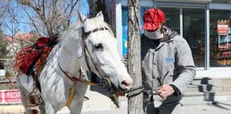 Cirit sporcusu İsa Ula, toplu taşıma yerine atını kullanıyor