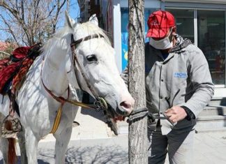 Cirit sporcusu İsa Ula, toplu taşıma yerine atını kullanıyor