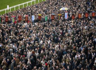 Cheltenham Festivali'ne katılanlarda corona virüs riski