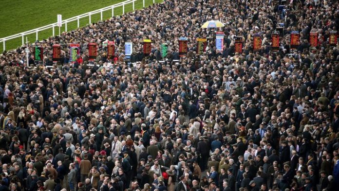 Cheltenham Festivali'ne katılanlarda corona virüs riski