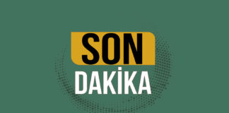 Trabzonspor Halil Dervişoğlu için harekete geçti