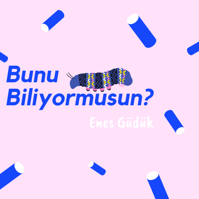 Enes Güdük, 2. Parçası Bunu Biliyor Musun