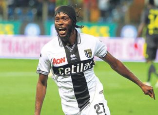 Gervinho Trabzonspor'un transfer teklifine sıcak bakıyor