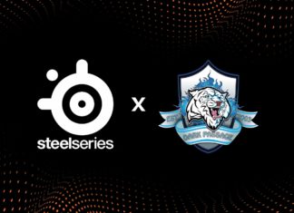 SteelSeries espor takımlarından Dark Passage’a sponsor oldu