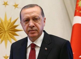 Cumhurbaşkanı Erdoğan, Filenin Sultanları'nı tebrik etti