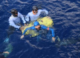 Türkiye'den Serbest Dalış Outdoor Dünya Kupası'nda 5 madalya