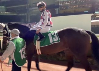 Curlin Stakes'te start alan Uğurtay, 4. oldu