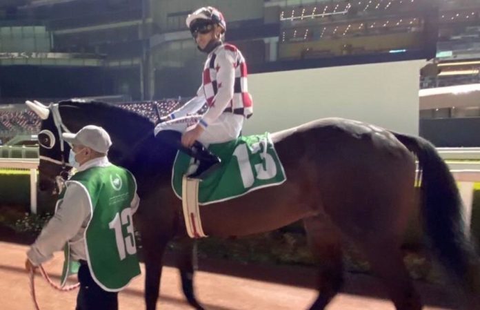 Curlin Stakes'te start alan Uğurtay, 4. oldu