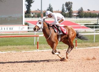 ÇGC Koşusunu “Bebesha” kazandı