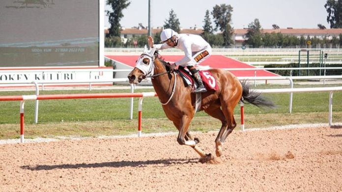 ÇGC Koşusunu “Bebesha” kazandı