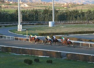 Elazığ'da at yarışı sezonu başladı