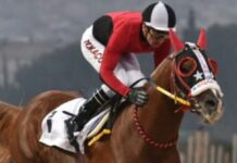 Gazi Koşusu sırasında bileği kırılan atın jokeyi Tokaçoğlu “Talihsiz bir kaza”