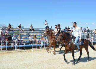 Side Rahvan At Yarışları'na yoğun ilgi