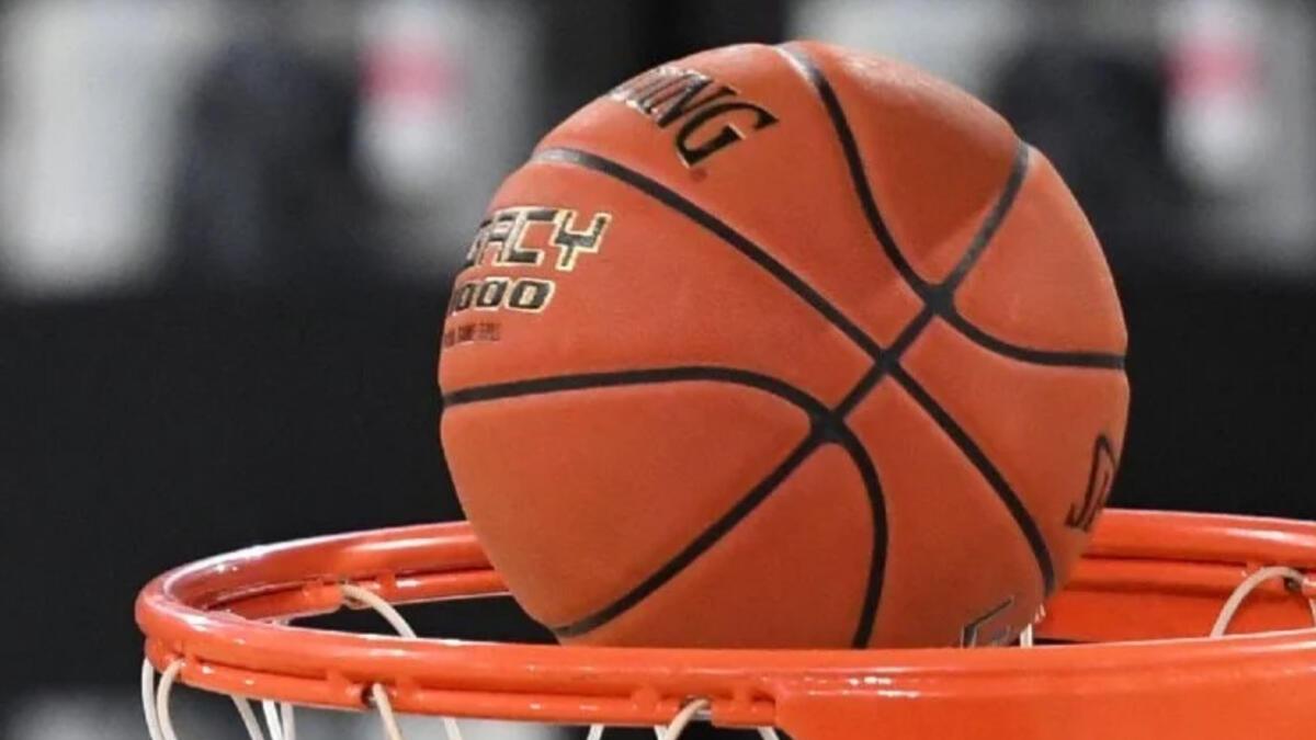 Samsunspor basketbolda kalıcı olmak istiyor – Basketbol Haberleri