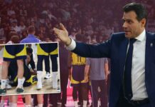Dimitris Itoudis’den Beşiktaş maçı sonrası tepki! ‘Herhangi bir yerde bu maç iptal edilirdi’ – Basketbol Haberleri