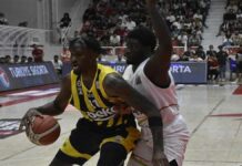 Aliağa Petkimspor – Fenerbahce Beko maç sonucu: 71 – 100 – Basketbol Haberleri
