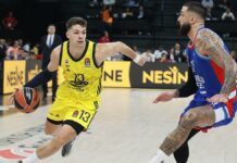 Anadolu Efes maçı öncesi Fenerbahçe Beko’da Tarık Biberovic: Beklediğimiz sonuçların uzağında kaldık – Spor Kral Gazetesi Basketbol Haberleri