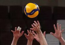 TVF resmen açıkladı! 2025 CEV Kadınlar Şampiyonlar Ligi Dörtlü Finali İstanbul’da – Voleybol Haberleri